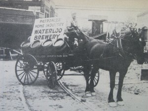Waterloo Illinois Brewery Delivery Wagon, Circa 1905